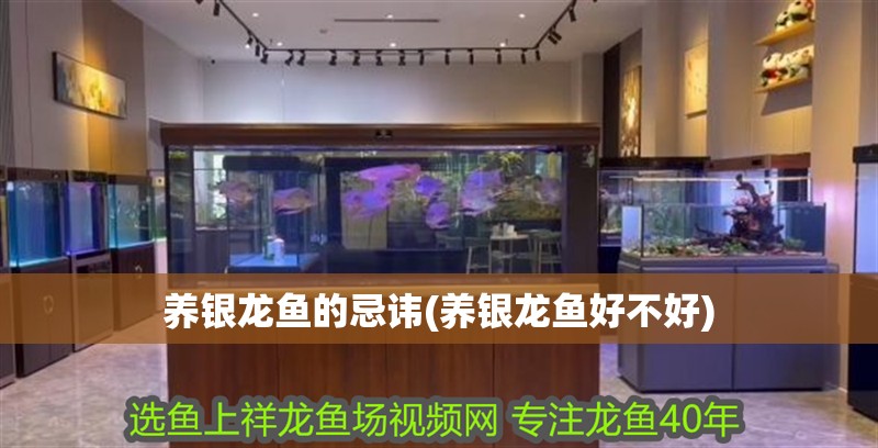 魚缸用增氧泵價格是多少:魚缸增氧機-xtrac增氧機-xtrac增氧機 養銀龍魚的忌諱(養銀龍魚好不好) 銀龍魚百科 養銀龍魚的忌諱(養銀龍魚好不好) 養銀龍魚的忌諱(養銀龍魚好不好) 銀龍魚百科