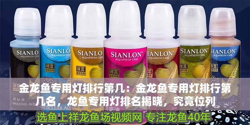金龍魚專用燈排行第幾：金龍魚專用燈排行第幾名，龍魚專用燈排名揭曉，究竟位列
