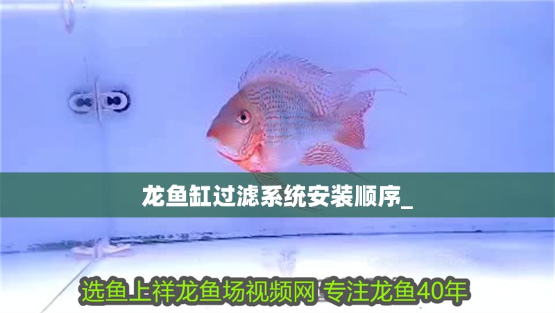 龍魚缸過濾系統安裝順序_