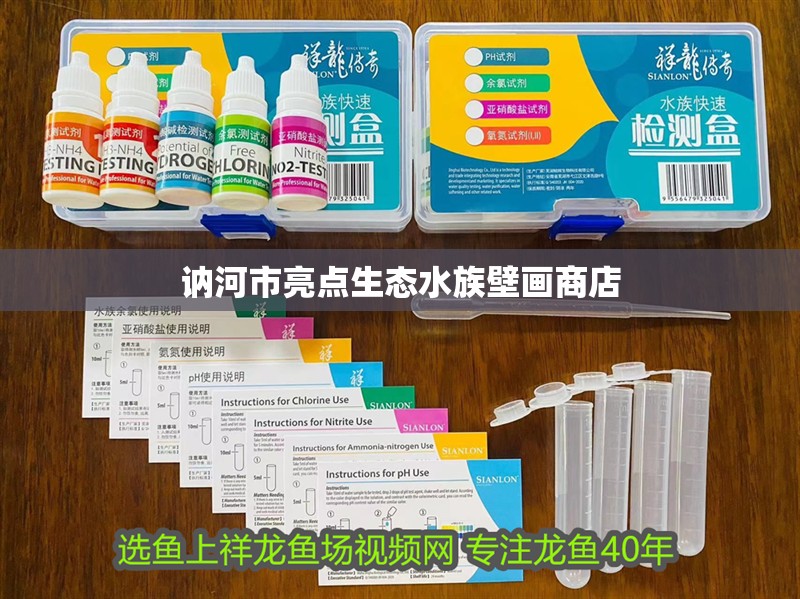 訥河市亮點(diǎn)生態(tài)水族壁畫商店