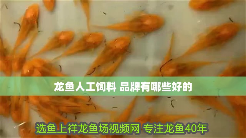 龍魚人工飼料 品牌有哪些好的