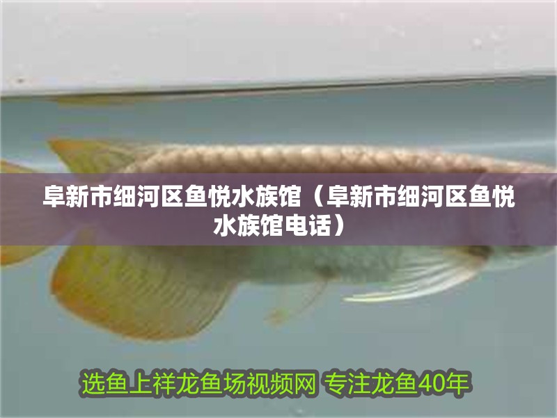 阜新市細(xì)河區(qū)魚悅水族館（阜新市細(xì)河區(qū)魚悅水族館電話）