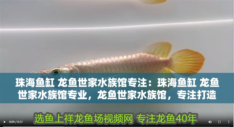 珠海魚缸 龍魚世家水族館專注：珠海魚缸 龍魚世家水族館專業，龍魚世家水族館，專注打造高品質魚缸的專業之選