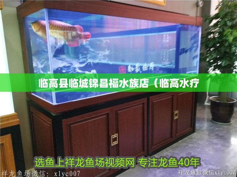 臨高縣臨城錦昌福水族店（臨高水療