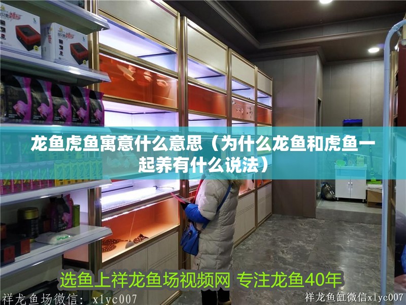 龍魚虎魚寓意什么意思（為什么龍魚和虎魚一起養有什么說法）