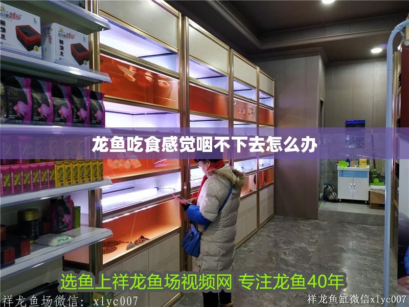龍魚吃食感覺咽不下去怎么辦