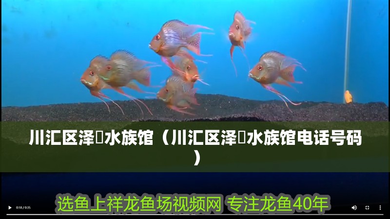 川匯區(qū)澤玥水族館（川匯區(qū)澤玥水族館電話號(hào)碼）