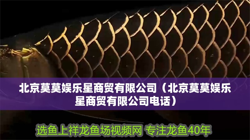 北京莫莫娛樂星商貿有限公司（北京莫莫娛樂星商貿有限公司電話）