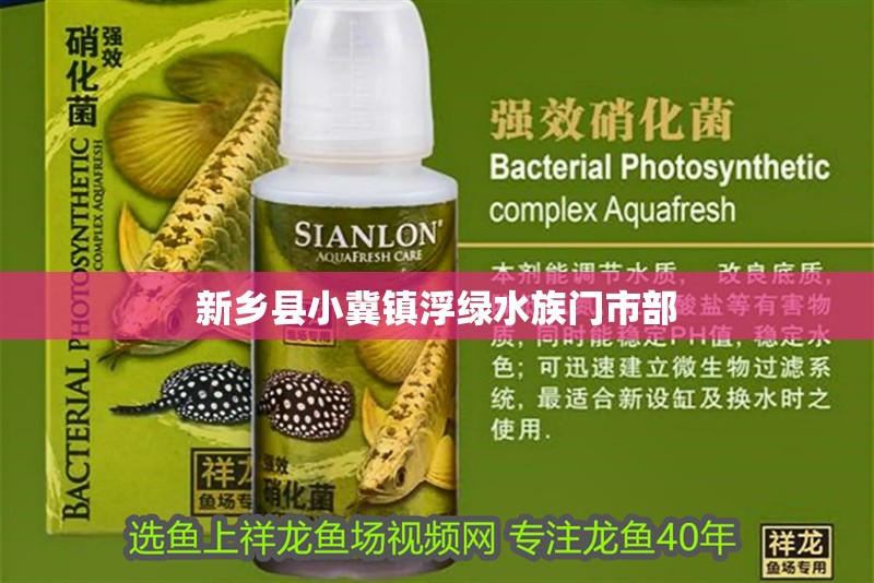 新鄉(xiāng)縣小冀鎮(zhèn)浮綠水族門市部