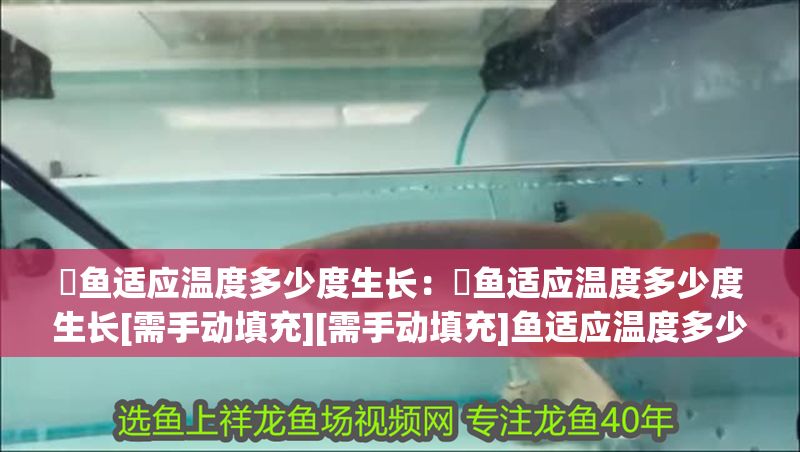 魟魚適應溫度多少度生長：魟魚適應溫度多少度生長[需手動填充][需手動填充]魚適應溫度多少度生長