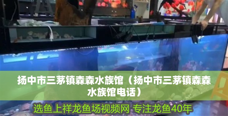 揚中市三茅鎮森森水族館（揚中市三茅鎮森森水族館電話）