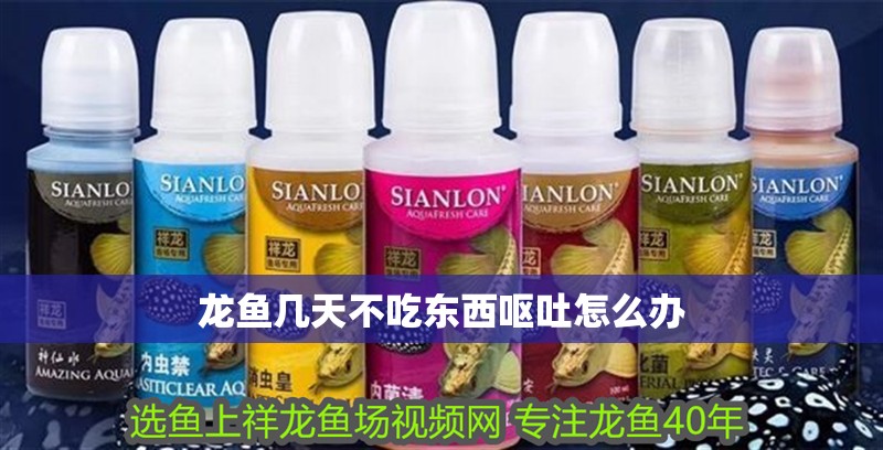 龍魚(yú)幾天不吃東西嘔吐怎么辦