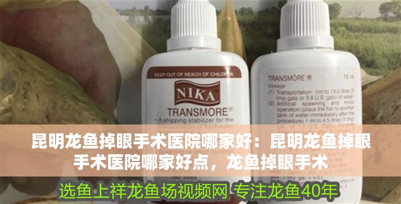 昆明龍魚(yú)掉眼手術(shù)醫(yī)院哪家好：昆明龍魚(yú)掉眼手術(shù)醫(yī)院哪家好點(diǎn)，龍魚(yú)掉眼手術(shù)