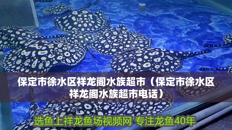 保定市徐水區祥龍閣水族超市（保定市徐水區祥龍閣水族超市電話）