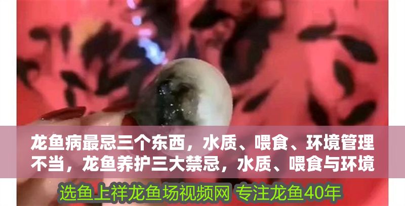 龍魚病最忌三個東西，水質、喂食、環境管理不當，龍魚養護三大禁忌，水質、喂食與環境管理不當