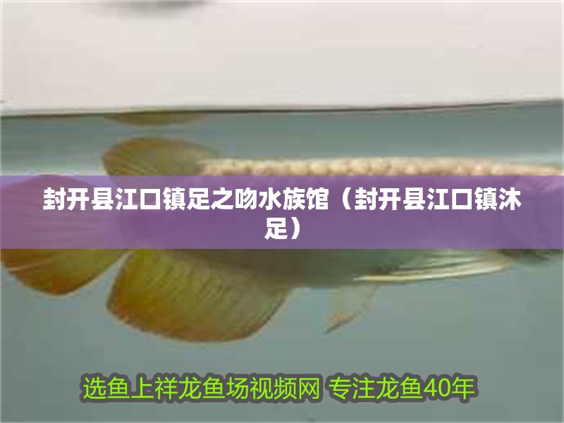 封開縣江口鎮足之吻水族館（封開縣江口鎮沐足）