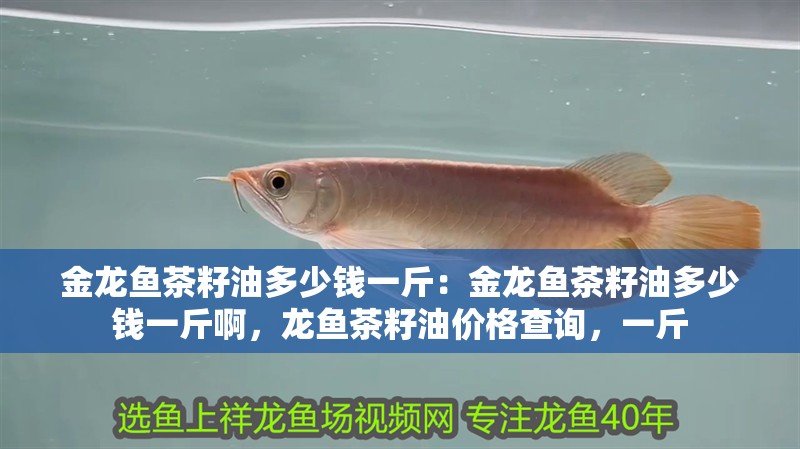 金龍魚茶籽油多少錢一斤:金龍魚茶籽油多少錢一斤啊,龍魚茶籽油價格查詢,一斤 水族問答 金龍魚茶籽油多少錢一斤:金龍魚茶籽油多少錢一斤啊,龍魚茶籽油價格查詢,一斤 金龍魚茶籽油多少錢一斤:金龍魚茶籽油多少錢一斤啊,龍魚茶籽油價格查詢,一斤 水族問答