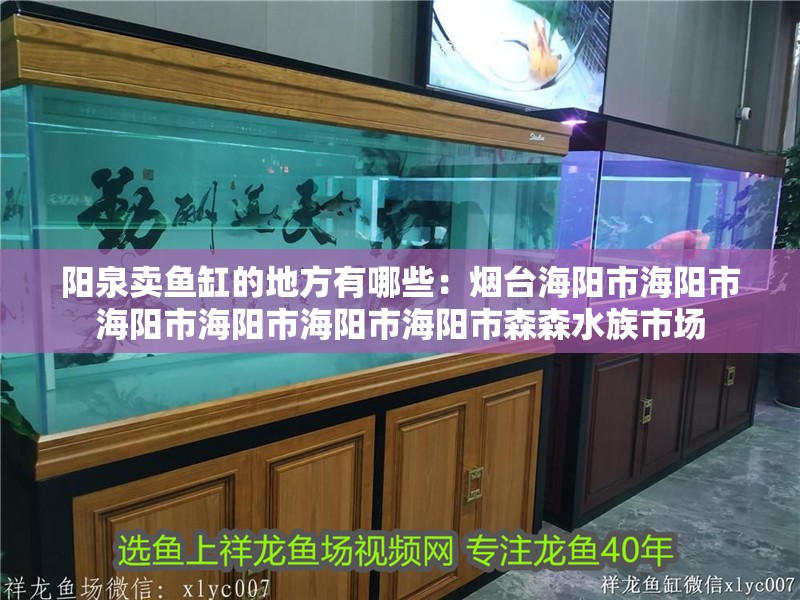 陽泉賣魚缸的地方有哪些：煙臺海陽市海陽市海陽市海陽市海陽市海陽市森森水族市場