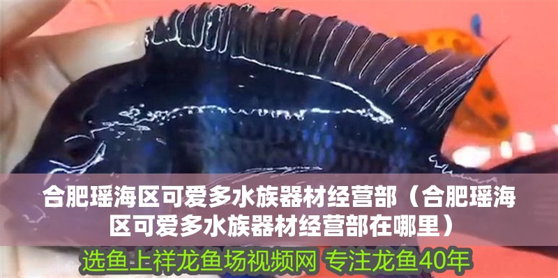 合肥瑤海區可愛多水族器材經營部（合肥瑤海區可愛多水族器材經營部在哪里）