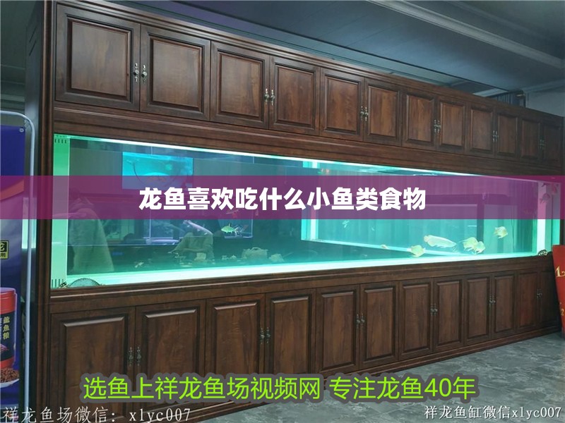 龍魚喜歡吃什么小魚類食物