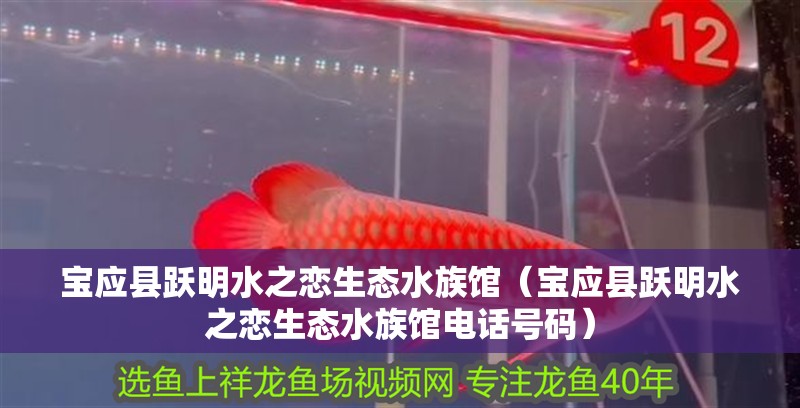 寶應縣躍明水之戀生態水族館(寶應縣躍明水之戀生態水族館電話號碼) 全國水族館企業名錄 第2張 寶應縣躍明水之戀生態水族館(寶應縣躍明水之戀生態水族館電話號碼) 寶應縣躍明水之戀生態水族館(寶應縣躍明水之戀生態水族館電話號碼) 全國水族館企業名錄 第2張