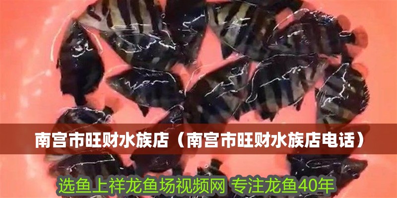 南宮市旺財(cái)水族店（南宮市旺財(cái)水族店電話）