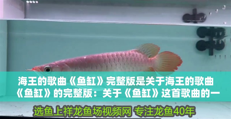 海王的歌曲《魚缸》完整版是關于海王的歌曲《魚缸》的完整版：關于《魚缸》這首歌曲的一些信息