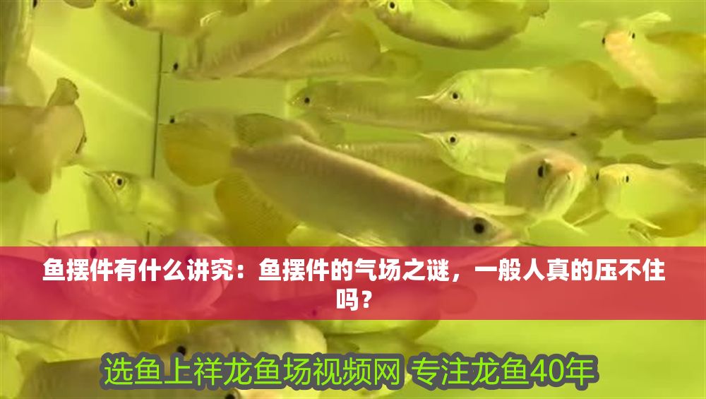 詳細(xì)閱讀:魚擺件有什么講究:魚擺件的氣場之謎,一般人真的壓不住嗎? 魚擺件有什么講究:魚擺件的氣場之謎,一般人真的壓不住嗎?
