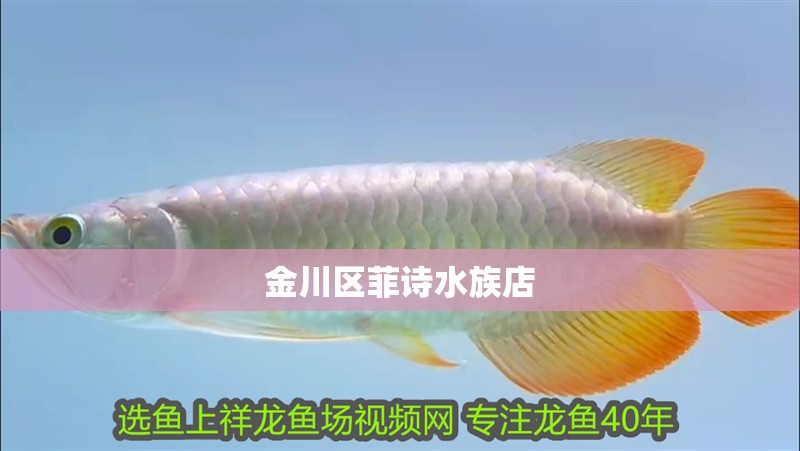 金川區菲詩水族店