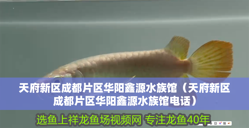 天府新區(qū)成都片區(qū)華陽(yáng)鑫源水族館（天府新區(qū)成都片區(qū)華陽(yáng)鑫源水族館電話）