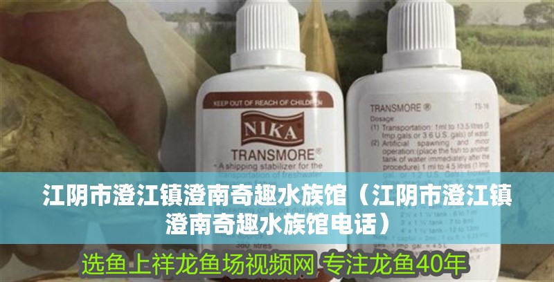 江陰市澄江鎮澄南奇趣水族館（江陰市澄江鎮澄南奇趣水族館電話）