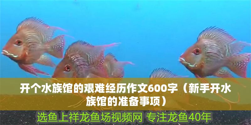 開個水族館的艱難經歷作文600字（新手開水族館的準備事項） 開個水族館的艱難經歷作文600字（新手開水族館的準備事項） 水族館百科（水族館加盟） 第1張