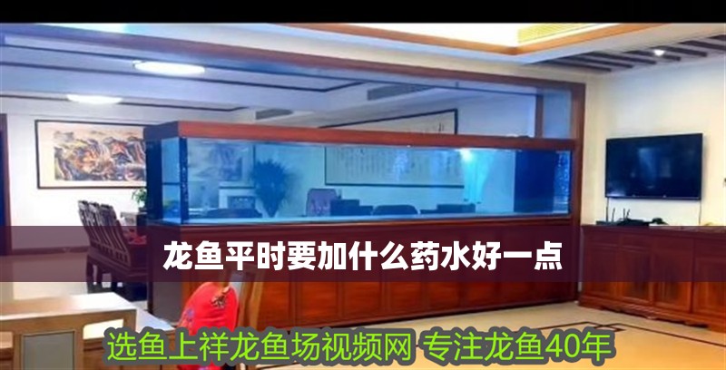 龍魚平時要加什么藥水好一點