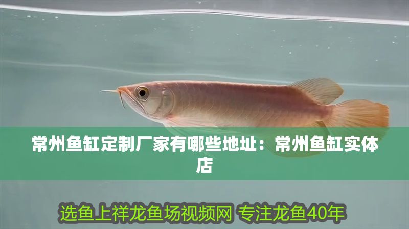 常州魚缸定制廠家有哪些地址：常州魚缸實體店
