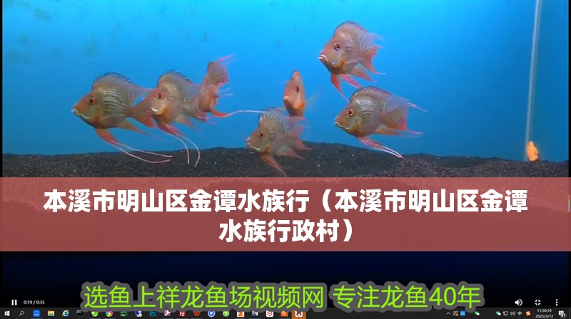 本溪市明山區金譚水族行（本溪市明山區金譚水族行政村）