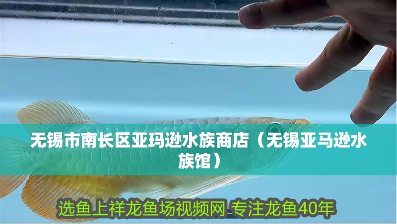 無錫市南長區(qū)亞瑪遜水族商店（無錫亞馬遜水族館）