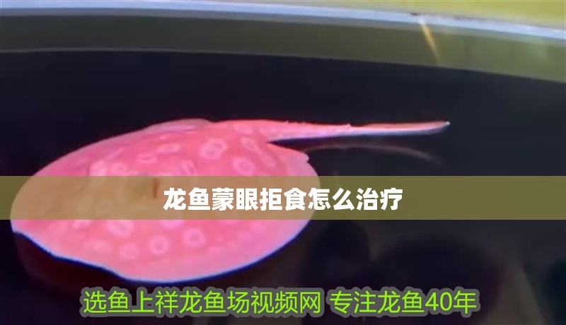 龍魚蒙眼拒食怎么治療