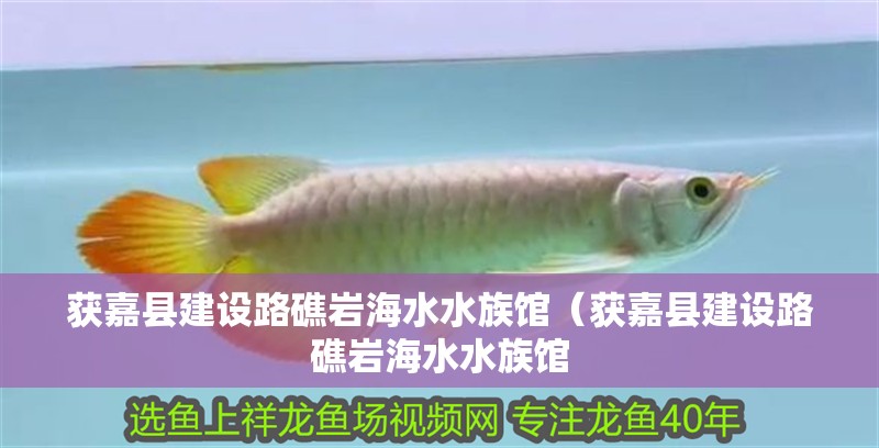 獲嘉縣建設(shè)路礁巖海水水族館（獲嘉縣建設(shè)路礁巖海水水族館