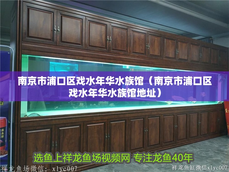 南京市浦口區戲水年華水族館（南京市浦口區戲水年華水族館地址）