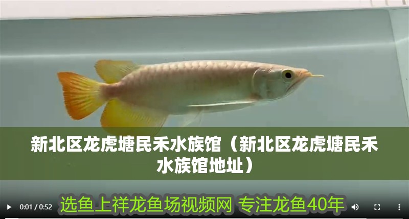 新北區龍虎塘民禾水族館(新北區龍虎塘民禾水族館地址) 全國水族館企業名錄 第2張 新北區龍虎塘民禾水族館(新北區龍虎塘民禾水族館地址) 新北區龍虎塘民禾水族館(新北區龍虎塘民禾水族館地址) 全國水族館企業名錄 第2張