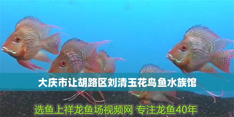 大慶市讓胡路區劉清玉花鳥魚水族館