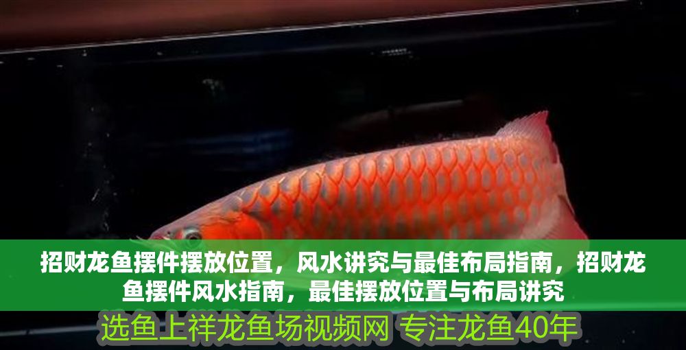 招財龍魚擺件擺放位置，風水講究與最佳布局指南，招財龍魚擺件風水指南，最佳擺放位置與布局講究