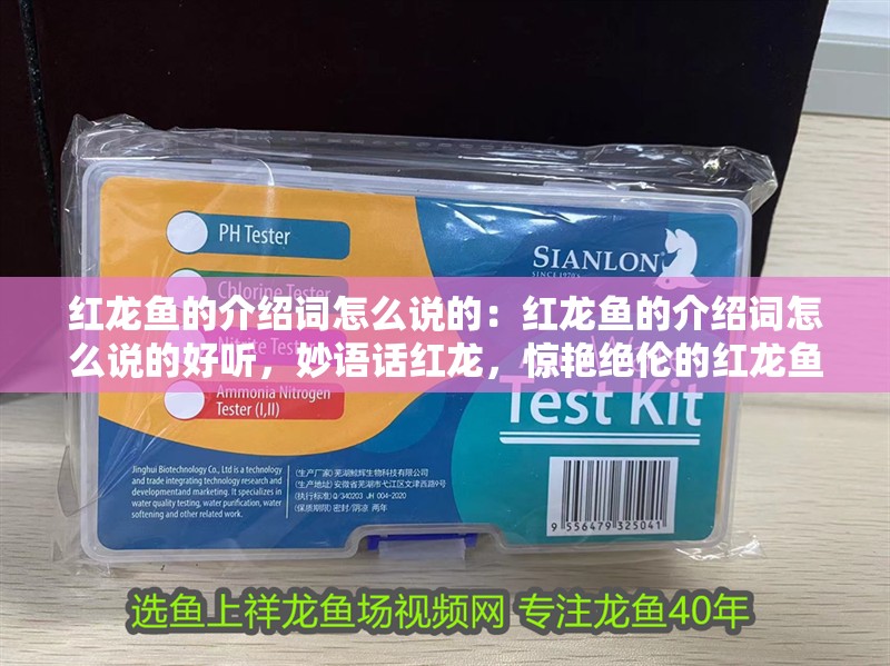 紅龍魚的介紹詞怎么說的：紅龍魚的介紹詞怎么說的好聽，妙語話紅龍，驚艷絕倫的紅龍魚魅力