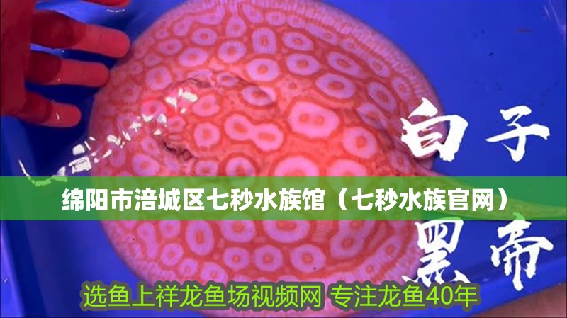 綿陽(yáng)市涪城區(qū)七秒水族館（七秒水族官網(wǎng)）