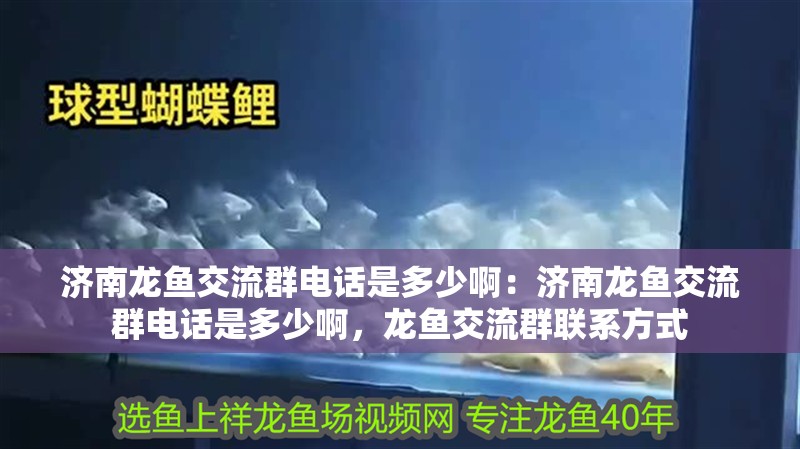 濟南龍魚交流群電話是多少啊：濟南龍魚交流群電話是多少啊，龍魚交流群聯系方式