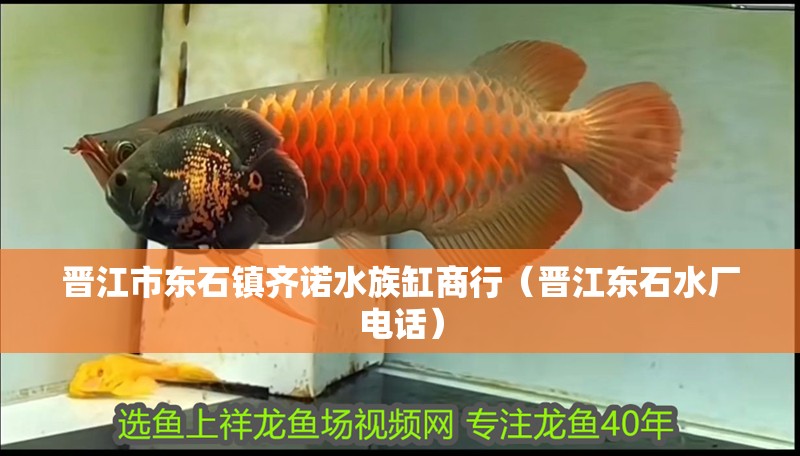 晉江市東石鎮齊諾水族缸商行（晉江東石水廠電話）