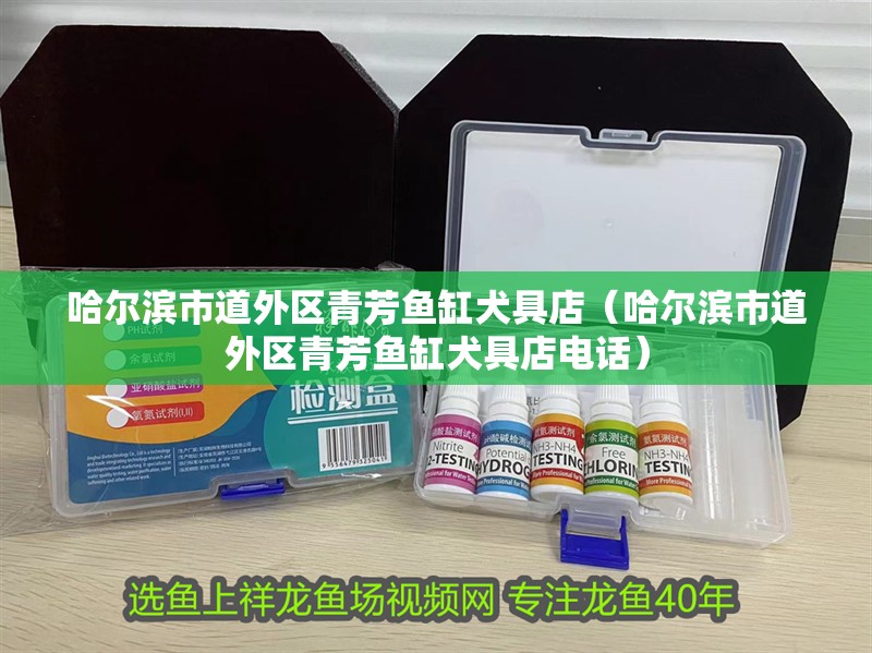 哈爾濱市道外區(qū)青芳魚缸犬具店（哈爾濱市道外區(qū)青芳魚缸犬具店電話）