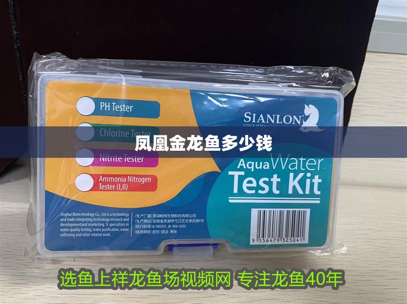 鳳凰金龍魚多少錢