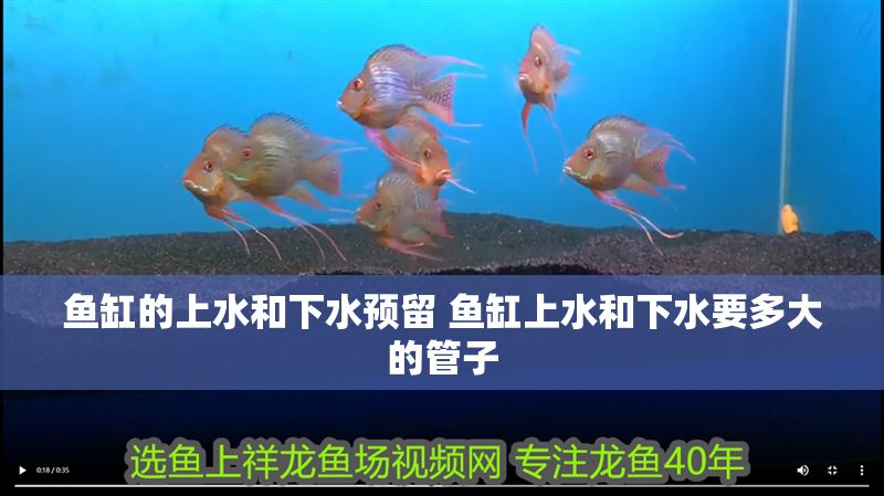 魚缸的上水和下水預留 魚缸上水和下水要多大的管子