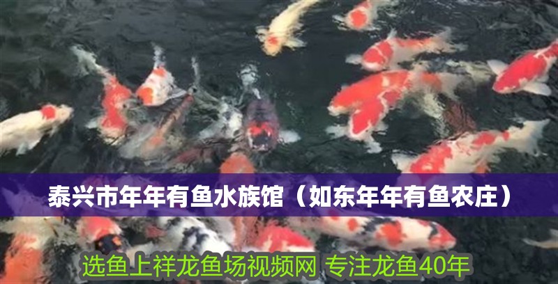 泰興市年年有魚水族館（如東年年有魚農莊）